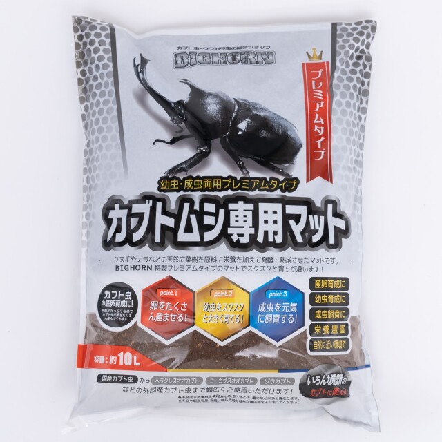 ネプチューンオオカブト3令幼虫ペア今ならカブト専用マット10L1袋付