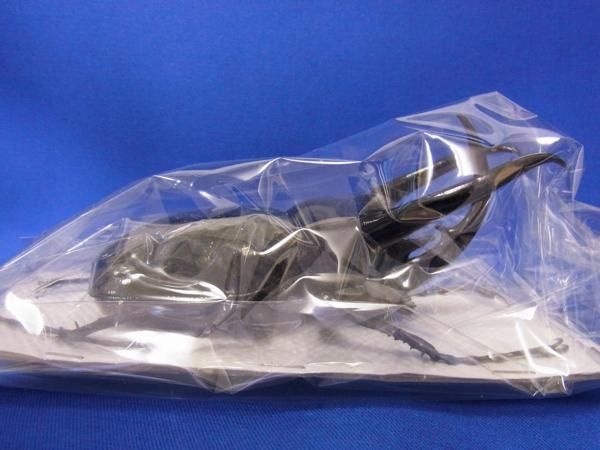 標本用）コーカサスオオカブト120 ミリ