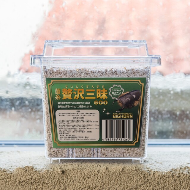 菌糸 贅沢三昧 600CC