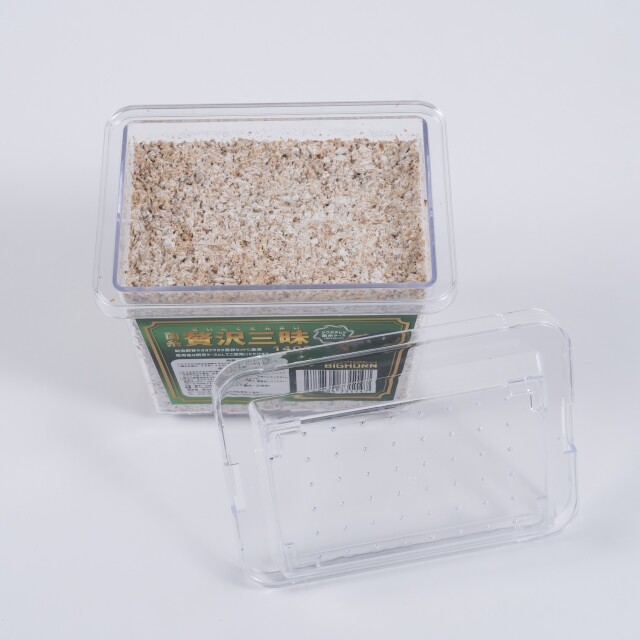 ヒヨコ　600羽　ふわふわ鮮度抜群！ 国産】冷凍ヒヨコ 600羽 ふわふわ鮮度抜群！ 国産】冷凍ヒヨコ 600羽