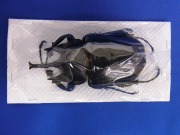 標本・標本用品