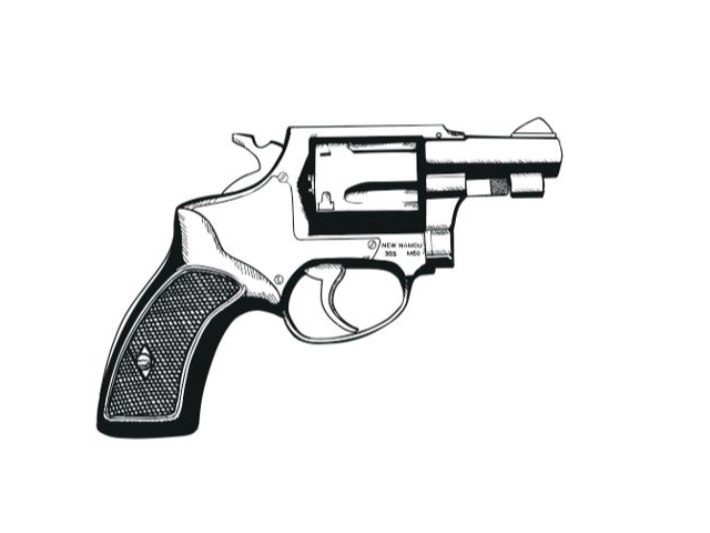 ニューナンブM60 「眠らない街 新宿鮫」鮫島モデル