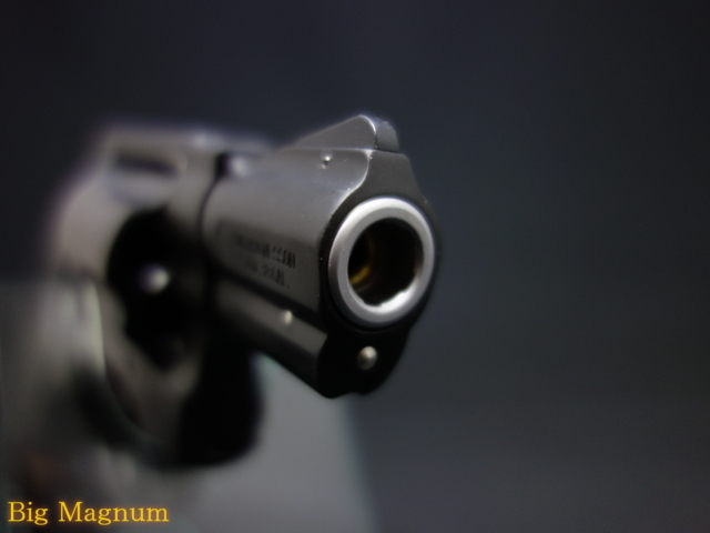 S&W  M360J SAKURA ヘビーウェイト ガスガン