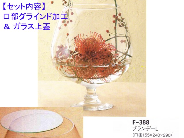 レオブランデーF-388（口部グラインド加工＆ガラス蓋）セット