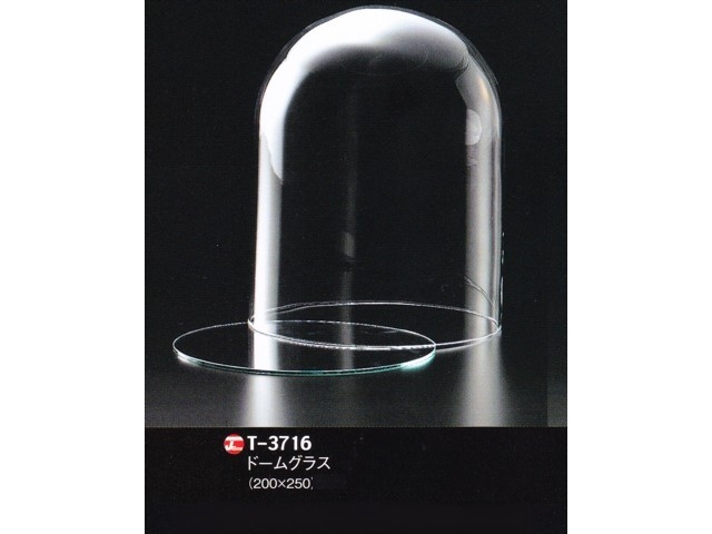 【２５％オフ】LEO、T-3716 ドームグラス（器）