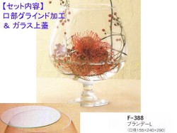 レオブランデーF-388（口部グラインド加工＆ガラス蓋）セット