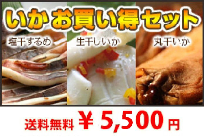 おいしいイカを大特価でお届け！イカお買い得セット 送料無料