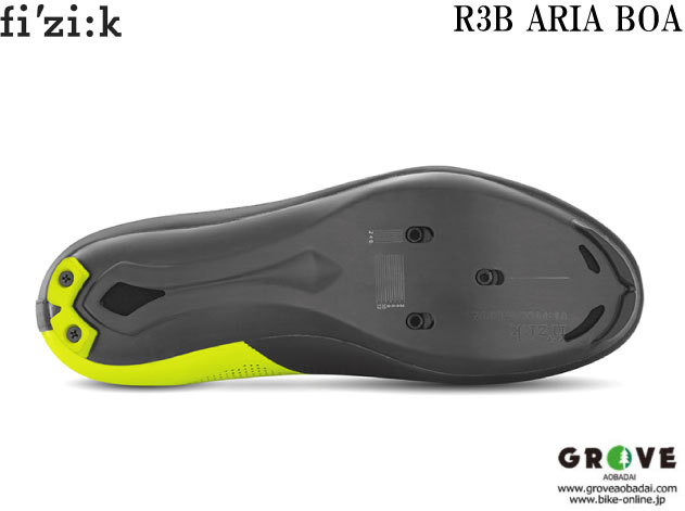 fizik r3b aria