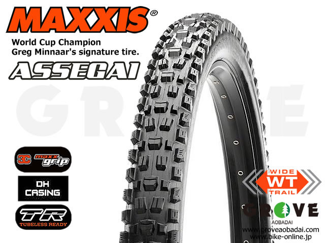 MAXXIS マキシス [ ASSEGAI アッセガイ 3C MaxxGrip TR DH
