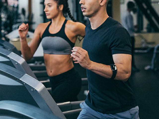 wahoo ワフー [ TICKR FIT ]【風魔横浜】 BIKE-ONLINE