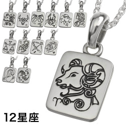 12星座 プレート ペンダント ≪トップのみ≫ メンズ レディース ネックレス シルバー アクセサリー 十二星座 誕生月 星座 [シルバーペンダント]