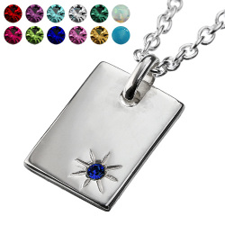 バースデープレート ペンダント ≪トップのみ≫ メンズ ネックレス シルバー アクセサリー カラー ジルコニア [シルバーペンダント]