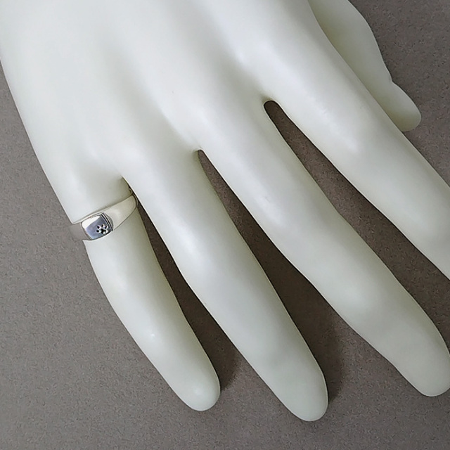 DOG STATEシルバー　リング　タイガー　7号 DOG STATEシルバー リング タイガー 7号 ウルフマンB.R.S T-KEIGO