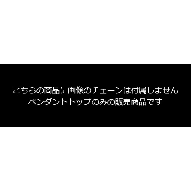 おまとめページ21点ペンダント♡（12/28までお取り置き可能です♡） 在庫限り】ペンダント ≪トップのみ≫ ペンダント ネックレス メンズ