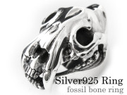 フォッシルボーン リング (サー ベルタイガー) シルバー 指輪 [シルバーリング]