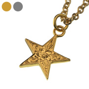 プルメリア スター ステンレス ペンダント(ゴールドカラータイプ) ≪2mmゴールドスチールチェーン≫ メンズ ネックレス ハワイアン [ステンレスペンダント]