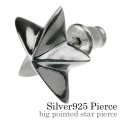 ビッグ ポインテッド スター ピアス メンズ シルバー アクセサリー 男性 [シルバーピアス] 片耳用(1個売り)