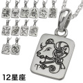 12星座 プレート ペンダント ≪トップのみ≫ メンズ レディース ネックレス シルバー アクセサリー 十二星座 誕生月 星座 [シルバーペンダント]