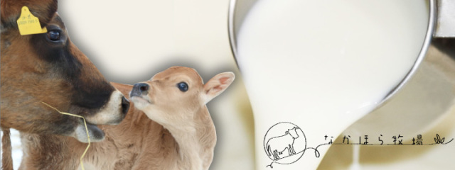 中洞牧場 なかほら牧場 バター 牛乳 ギー