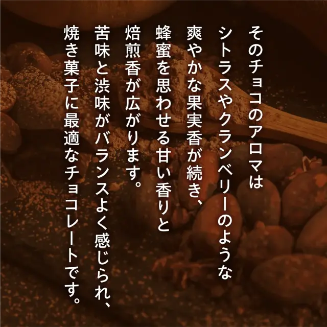 有機JAS認証 究極のくちどけチョコレートケーキ （テリーヌドゥ