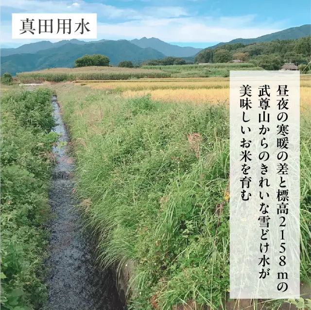 6☆新米　高田農園のこしひかり玄米24kg 16000円 全国送料無料☆ 定期購入】和仁農園さんの岐阜県高山市産コシヒカリ(黄金の煌き)(特別