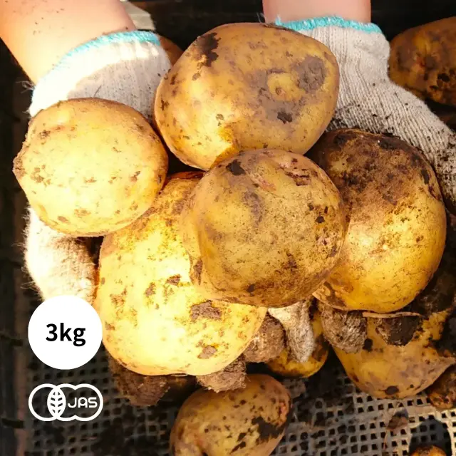 【6/20頃発送予定】有機JAS認証 新じゃが キタアカリ（有機野菜 無農薬 無化学肥料）オーガニック [3kg] 埼玉産《冷蔵・産地直送便》