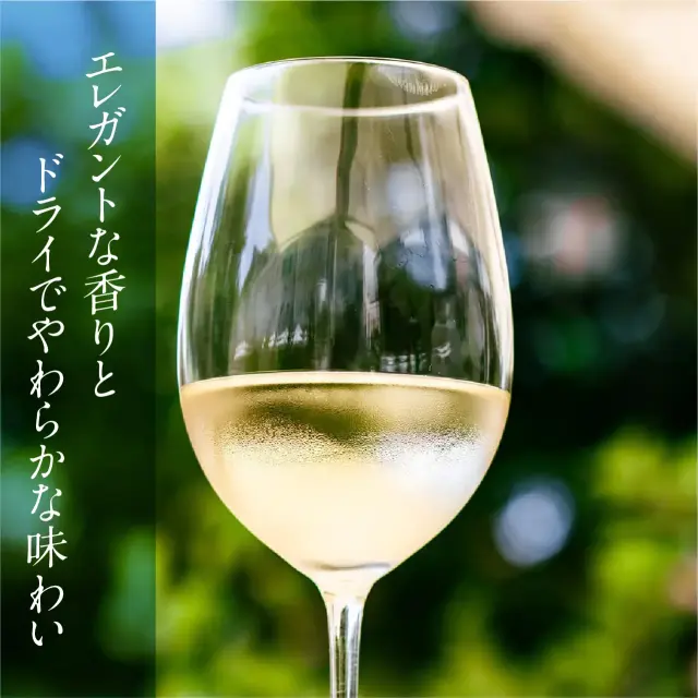 海外有機認証 ビオワイン Bianco Veneziano white Bio （オーガニック