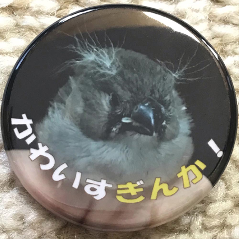 【Feather Tail】缶バッチ/キンカヒナ