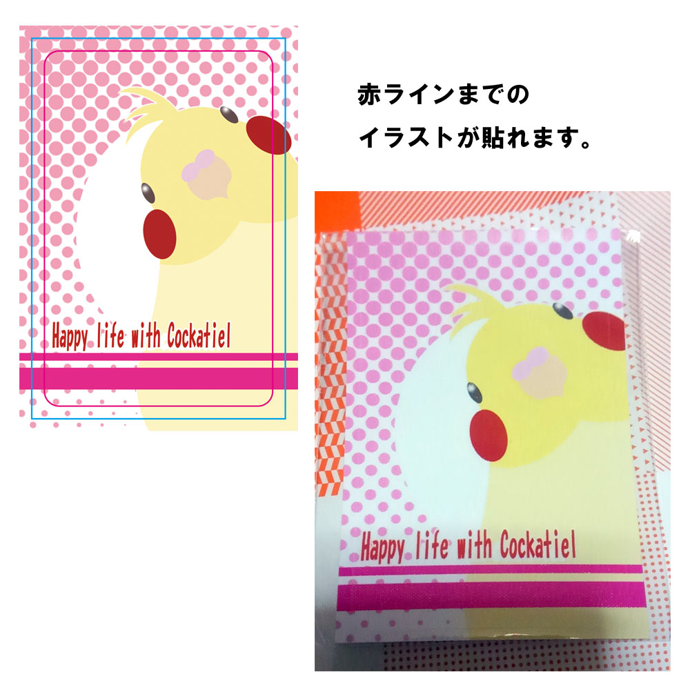 【まぢかるどりぃまぁ】カードサイズシール/オカメ・ルチノー◆