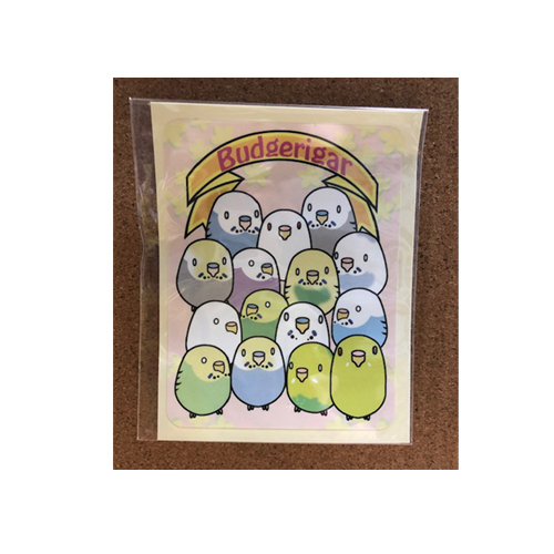 【まぢかるどりぃまぁ】ステッカー/セキセイインコ団◆