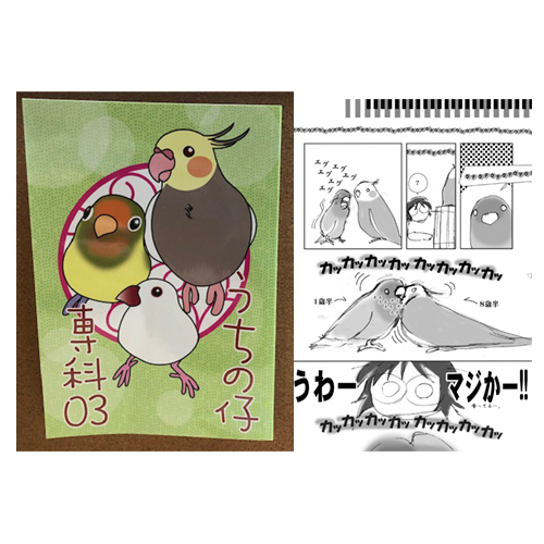 まぢかるどりぃまぁ 同人誌 うちの仔専科03 A5クリアファイル付 鳥専門店 Bird More