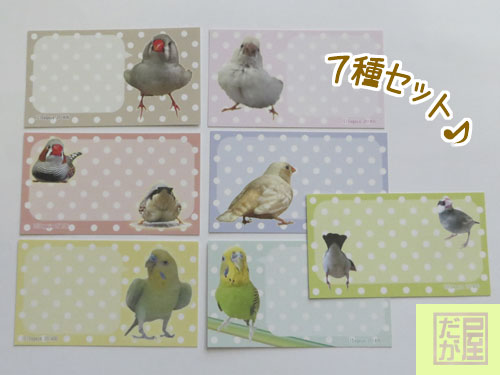 【だが屋】★ミニカード/セキセイ＆キンカ＆文鳥◆