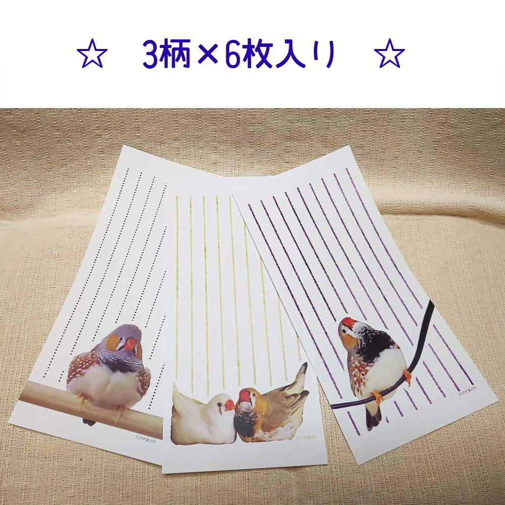 【だが屋】一筆せん/キンカチョウ◆