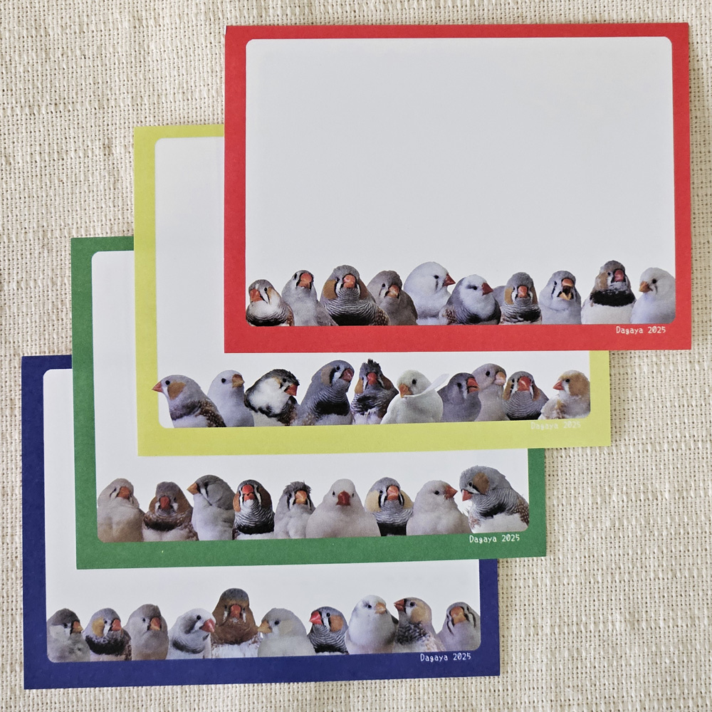 【だが屋】メモセット/キンカチョウ・キンカ40羽