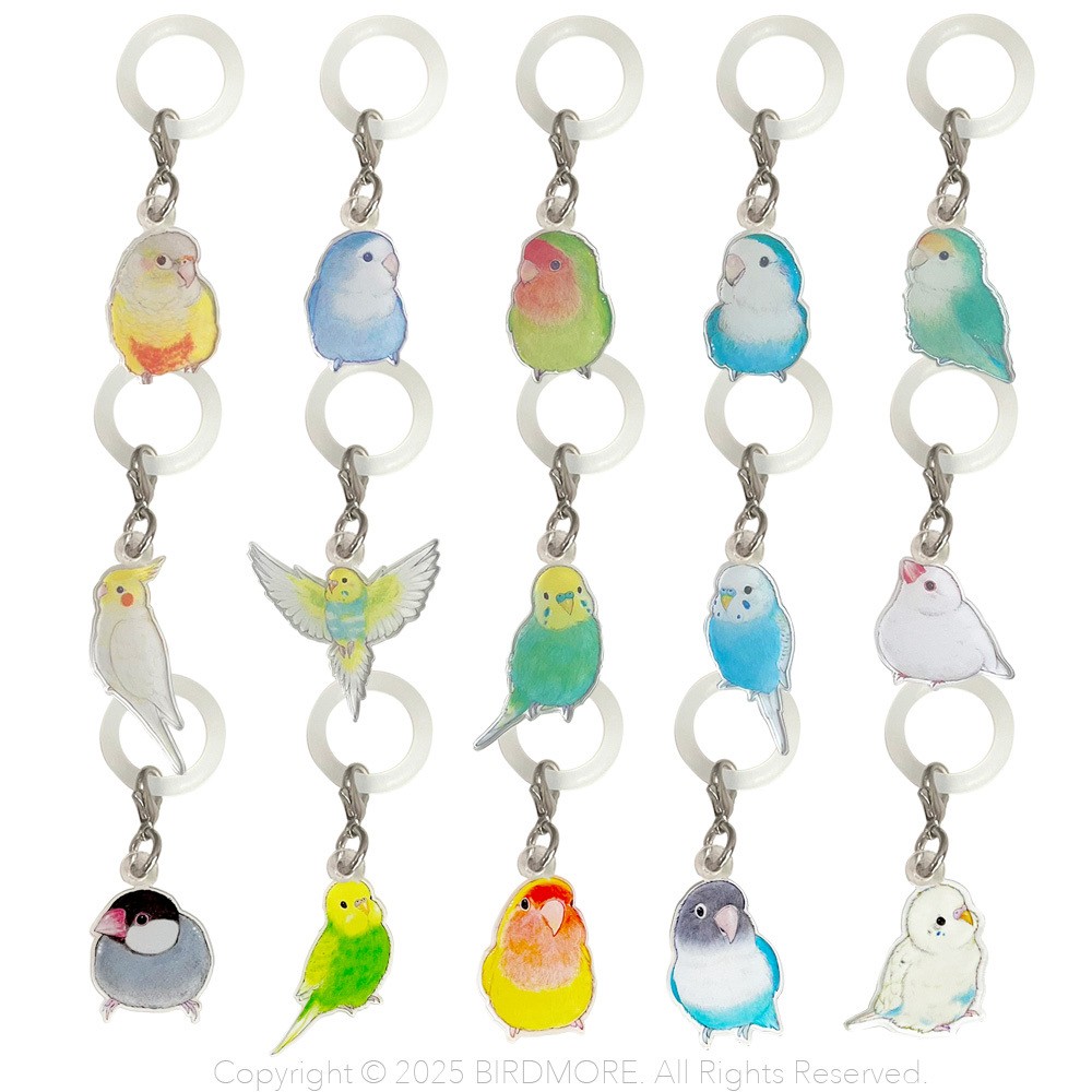 9999555【aoamo】アンブレラマーカー 鳥専門店 BIRD MORE