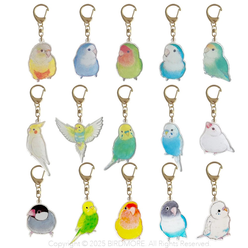 9999554【aoamo】アクリルキーホルダー