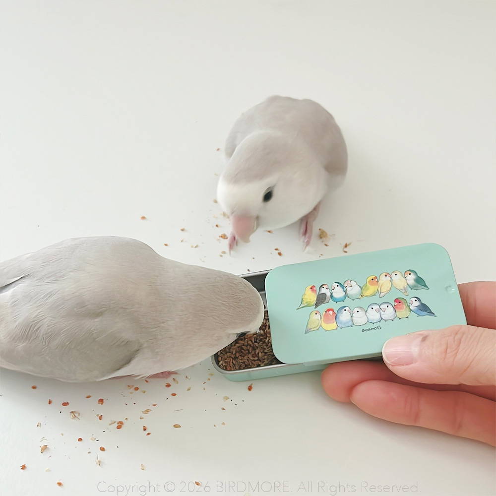 9990039【aoamo】トリーツケース