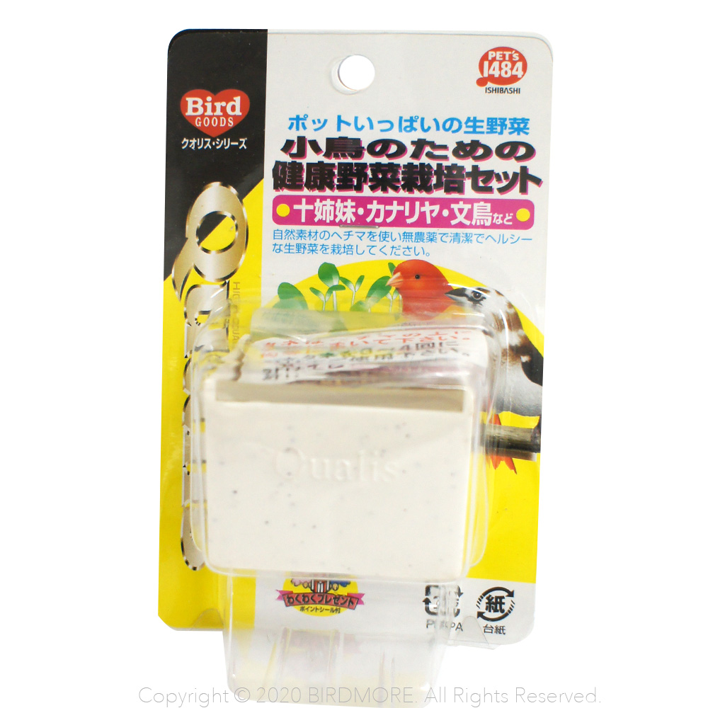 クオリス 小鳥のための健康野菜栽培セット 鳥専門店 Bird More