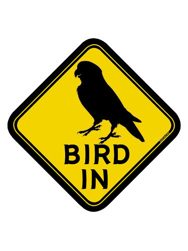 9992056【BMオリジナル】BIRD IN ステッカー コザクラ◇ 鳥専門