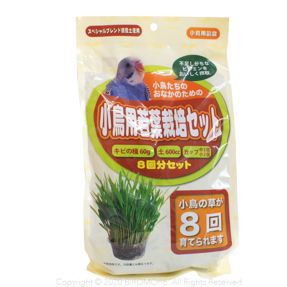 9993347【アラタ】★小鳥用若葉栽培セット