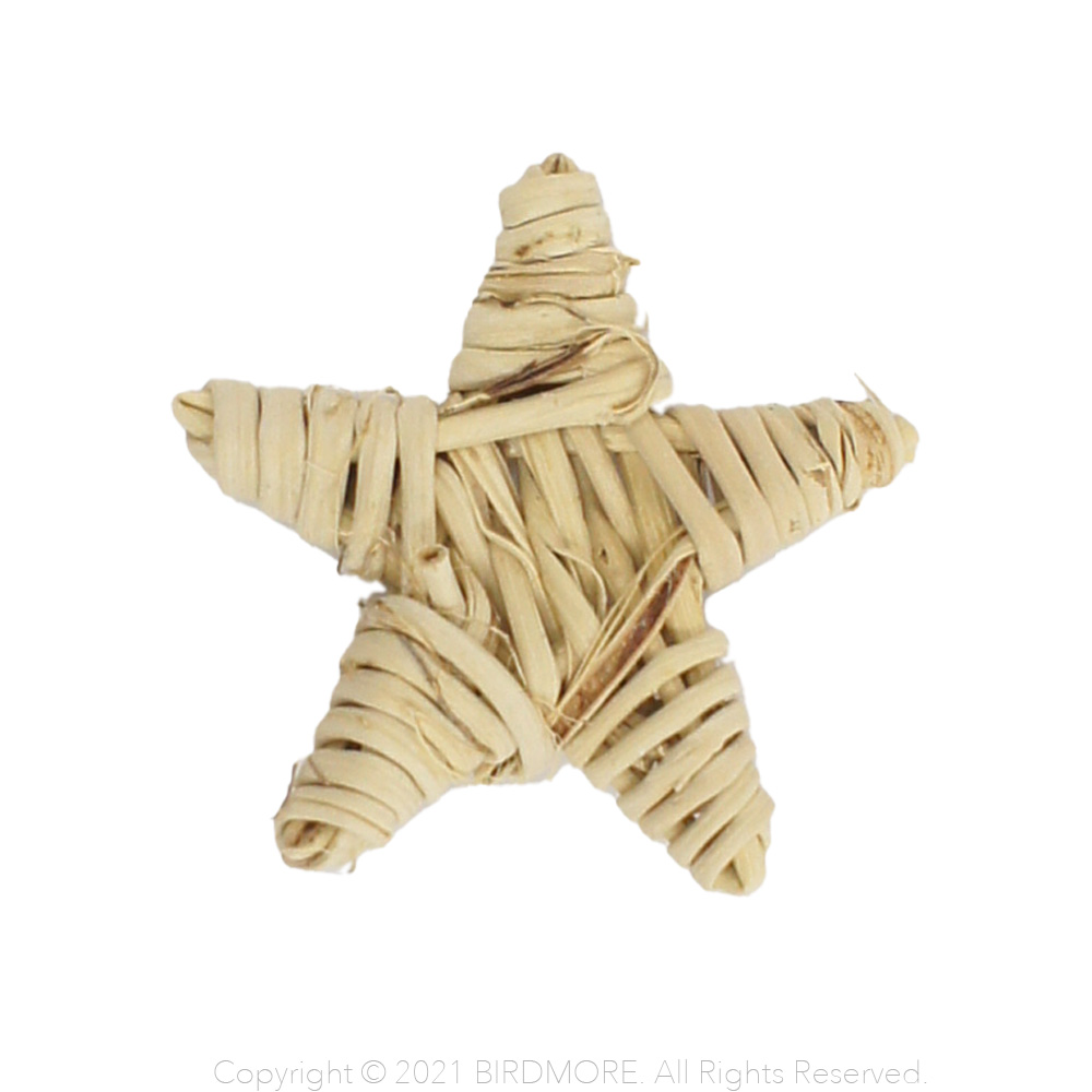 9993418【BTP】ヴァインリングスター  1個◆