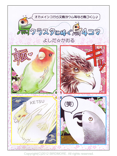 9993750【イーフェニックス】鳥クラスタに捧ぐ鳥４コマ◆