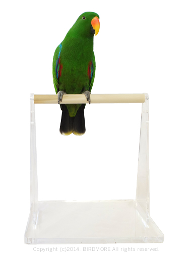 9994391【More Style】アクリルベーススタンド　パロット用（IQロータリーフィーダー別売り）　