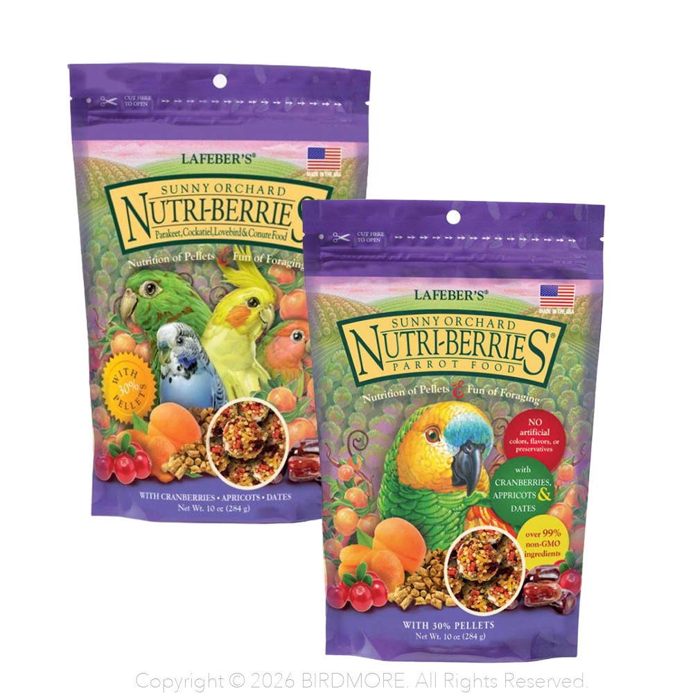 9995434【ラフィーバー】サニーオーチャード 2種類