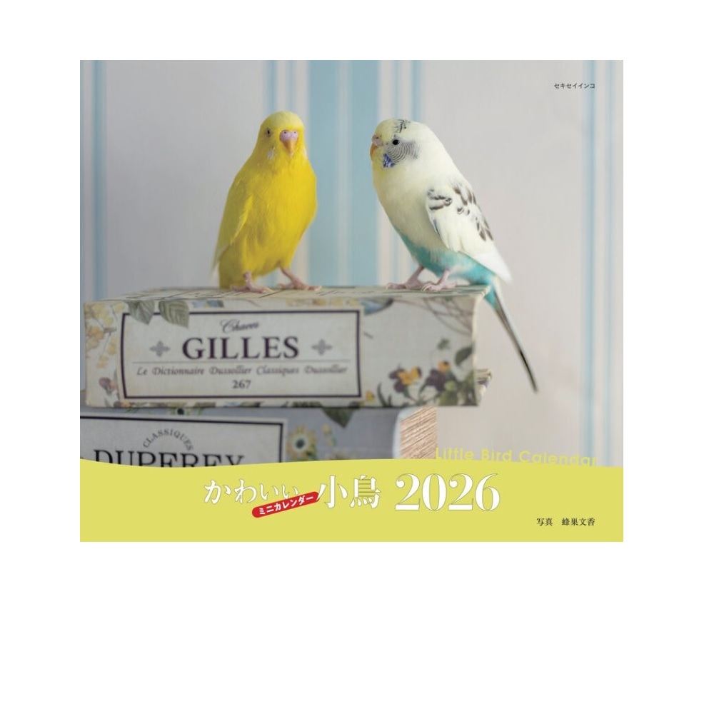 9995540【誠文堂新光社】2026年 カレンダー かわいい小鳥(ことり) ◆