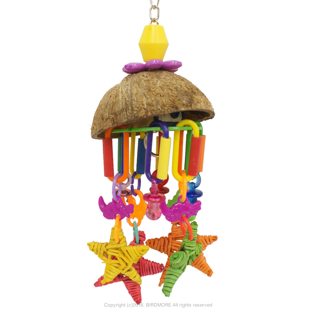 9996045【SBC】SB896 Seeing Stars