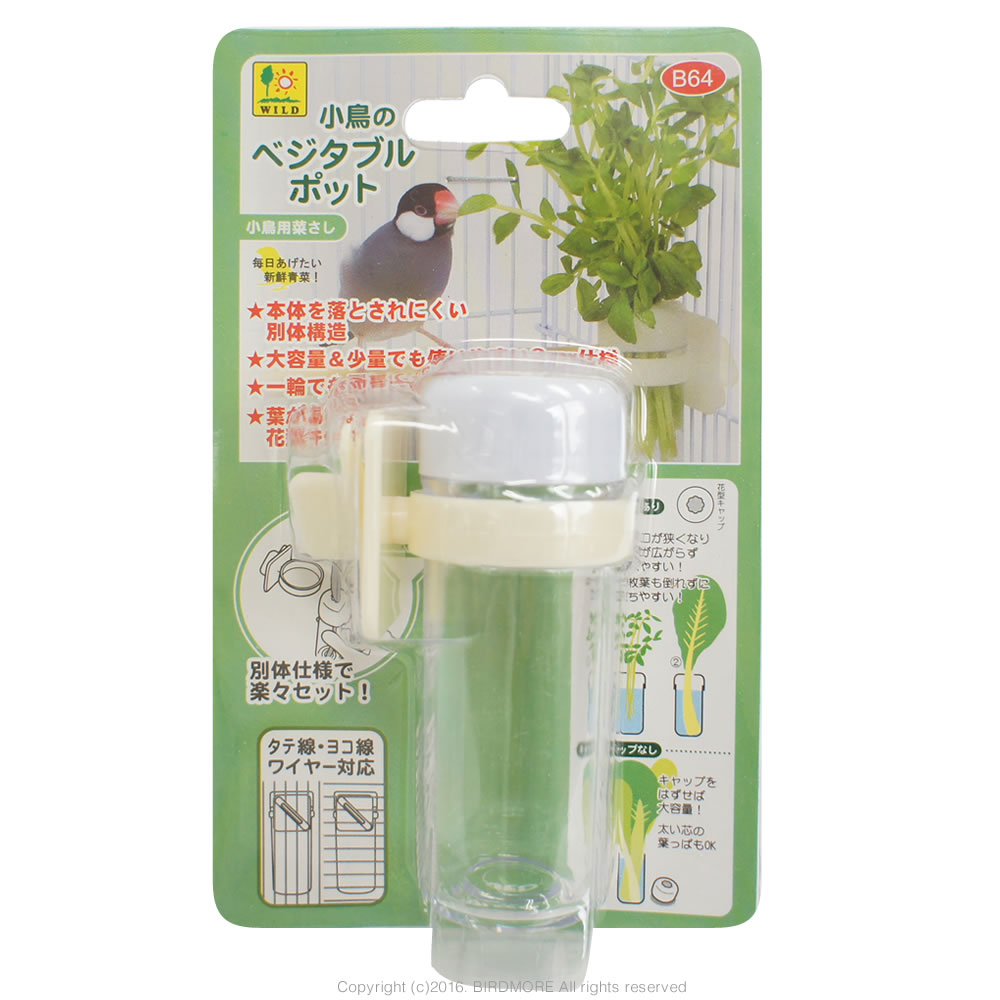 9996193【サンコー】小鳥のベジタブルポット 鳥専門店 BIRD MORE