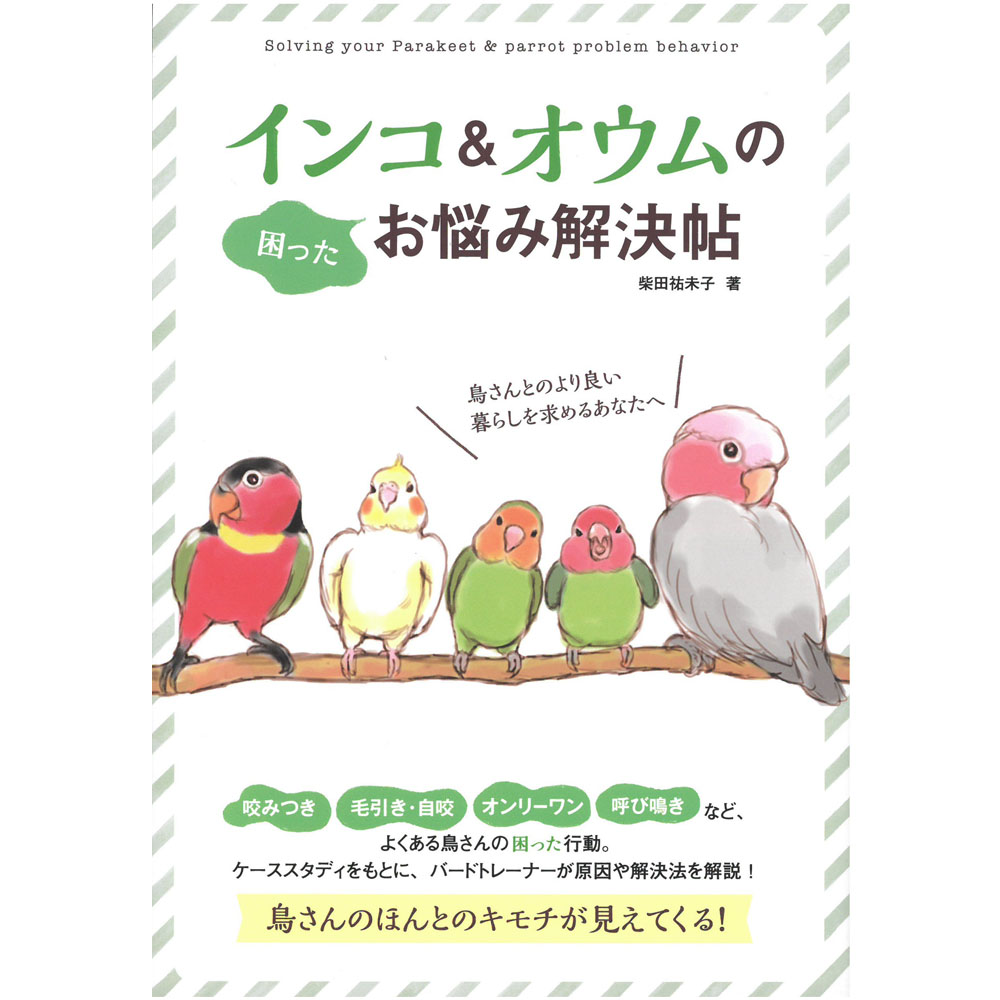 9996362【大泉書店】インコ＆オウムのお悩み解決帖◇ 鳥専門店 BIRD MORE