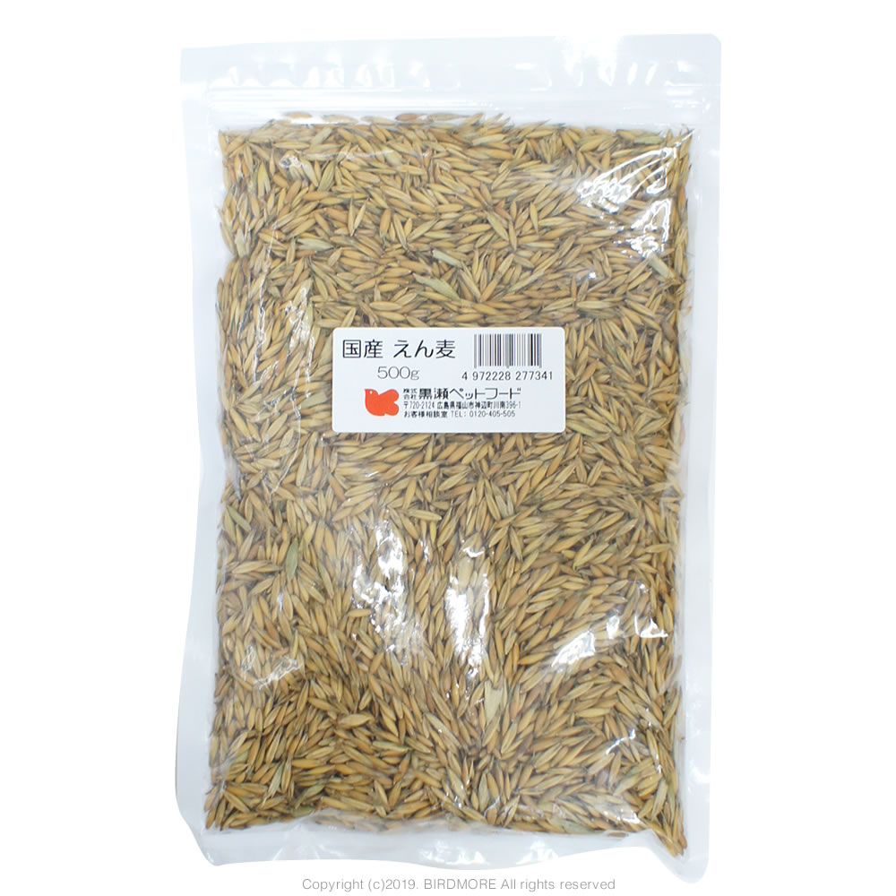 9996651【黒瀬ペットフード】国産　えん麦