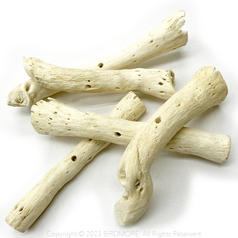 9997225【BTP】Gobi Tail 1本